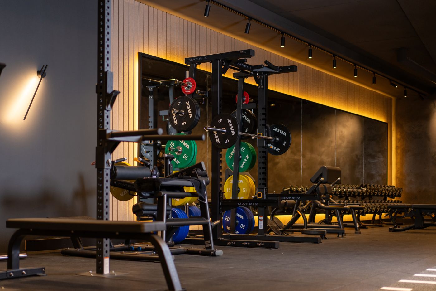 free-training-gewichten