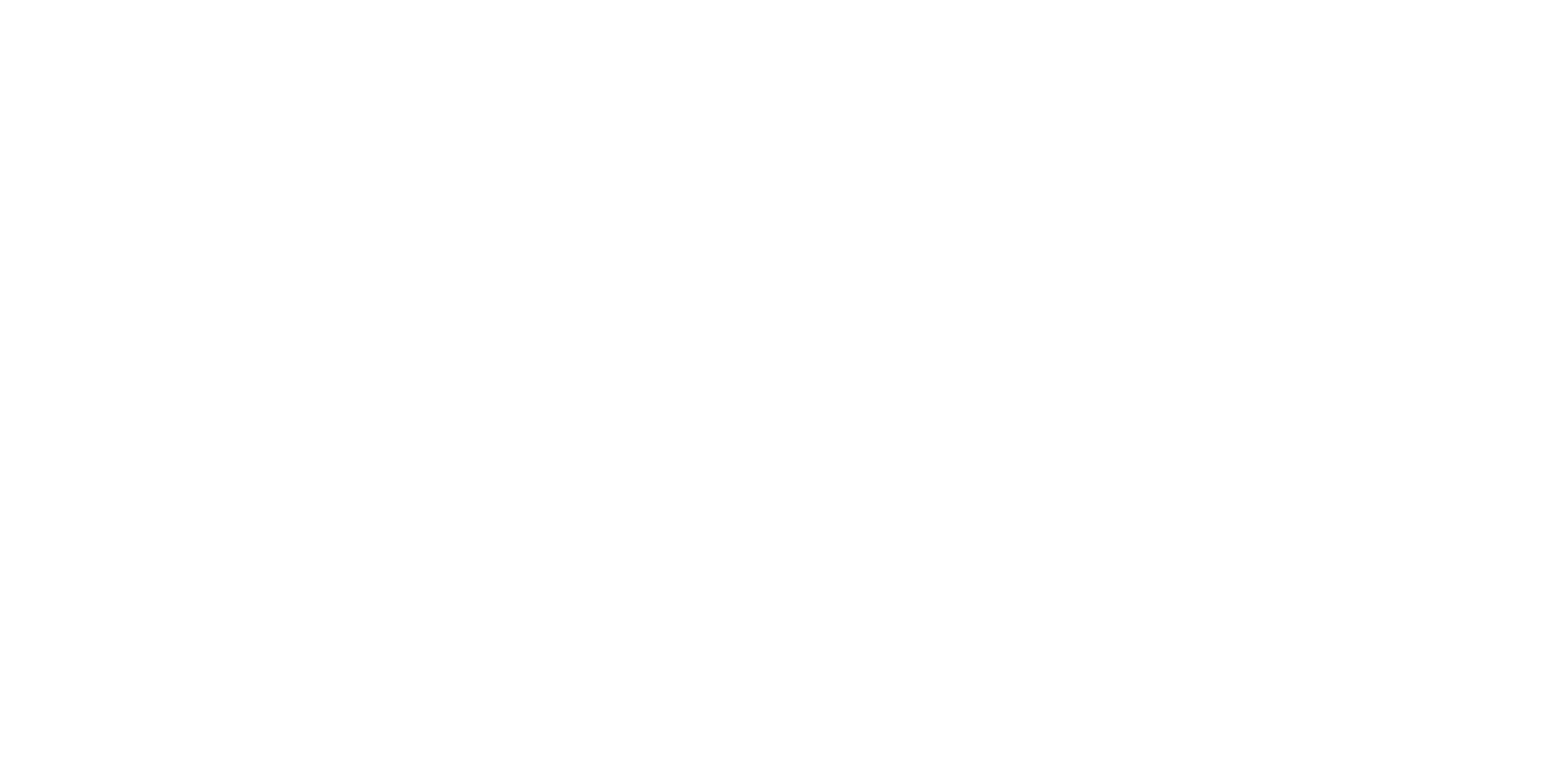 Logo City Gym